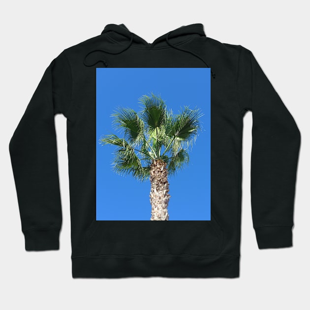 Close up of a Single Palm Tree with Blue Sky Hoodie by Sandraartist